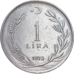 1973 Yılı 1 Lira Çil TCM3091 - 1