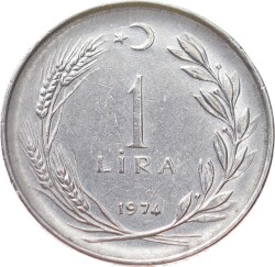 1974 Yılı 1 Lira Çil TCM3089 - 1