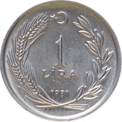 1981 Yılı 1 Lira Çil TCM3087 - 1