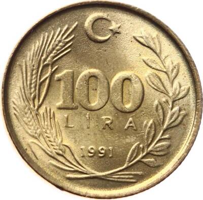 1991 Yılı 100 Lira ÇİL TCM2394 - 1