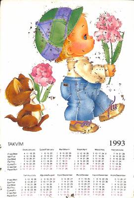 1993 Takvimi Simli Kartpostal KRT19416 - 1