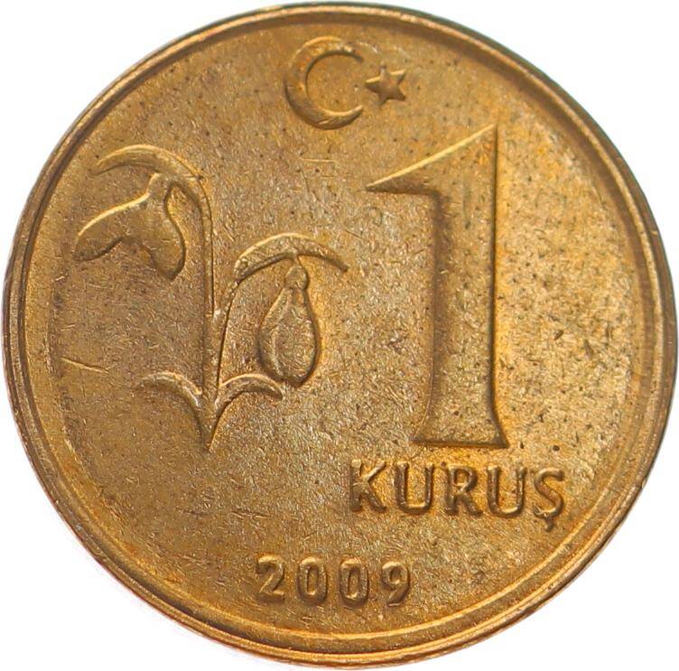 2009 Yılı 1 Kuruş Çil TCM3020 - 1