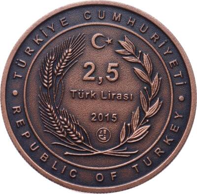 2015 Yavuz Muharebe Kruvazörü (Sertifikalı) TCH349 - 2