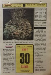 30 Mart 1979 Takvim Yaprağı - Doğum Günü Hediyesi EFM(N)7882 - 1