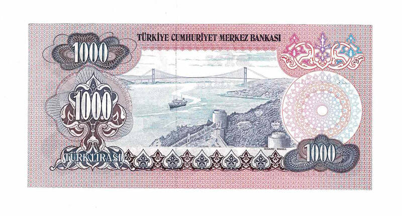 6. Emisyon 3.Tertip 1000 Türk Lirası Seri F25 ÇİL TCK9699 - 2