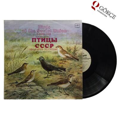 Birds of the Soviet Union A Sound Guide LP PLAK PLK1059 - 1