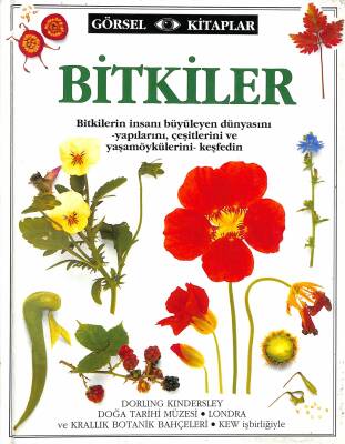 Bitkiler NDR79486 - 1