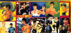 Bruce Lee 10 Farklı Sticker AKS1429 - 1