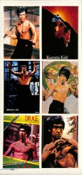 Bruce Lee 6 Farklı Sticker AKS1428 - 1