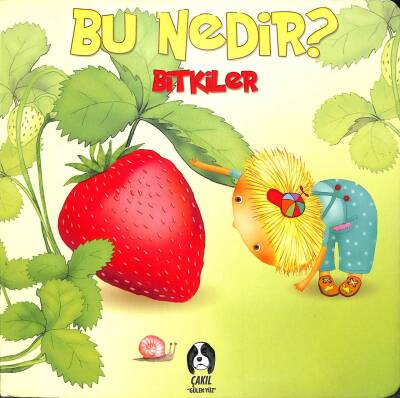 Bu Nedir ? Bitkiler KTP2462 - 1