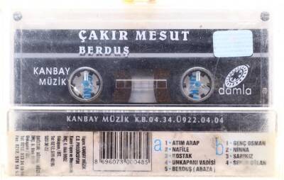 Çakır Mesut *Berduş* KST4973 - 4