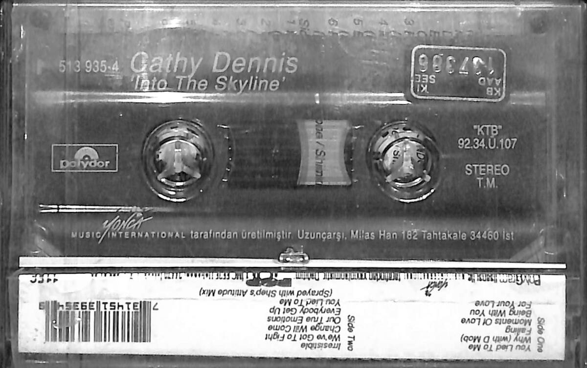 Cathy Dennis - Into The Skyline Kaset (Lacivert Bandrol - Sıfır) KST27240 - 2