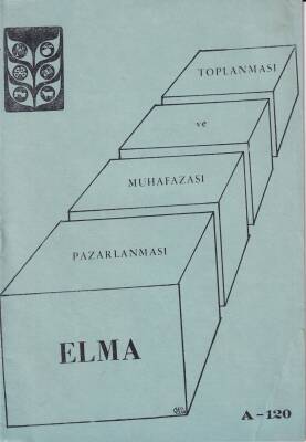 ELMA-Toplanması Ve Muhafazası Pazarlanması NDR44008 - 1