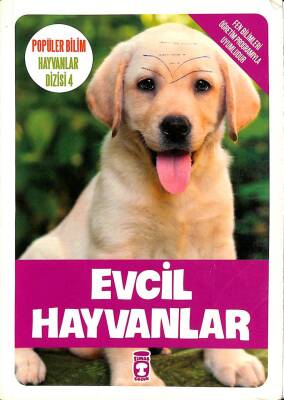 EVCİL HAYVANLAR NDR76727 - 1