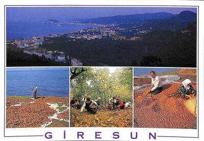 Giresun Kartpostal KRT19340 - 1