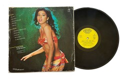 Irene Cara - What A Feelin (Dönem Baskı) LP Plak (108) PLK22034 - 2