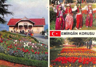 İstanbul Emirgan Korusu Temalı Kartpostal KRT15808 - 1