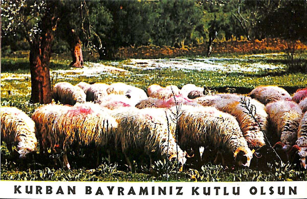 Kurban Bayramı Kutlama Kartpostal (Küçük Boy) KRT21983 - 1