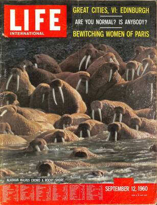 LIFE INTERNTIONAL 12 September 1960 - Christina Gabillot, Liliane Allain NDR84133 - 1