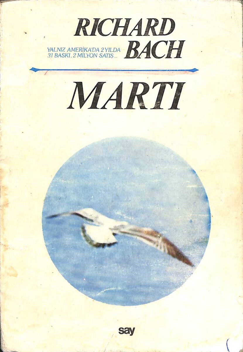 Martı - 1