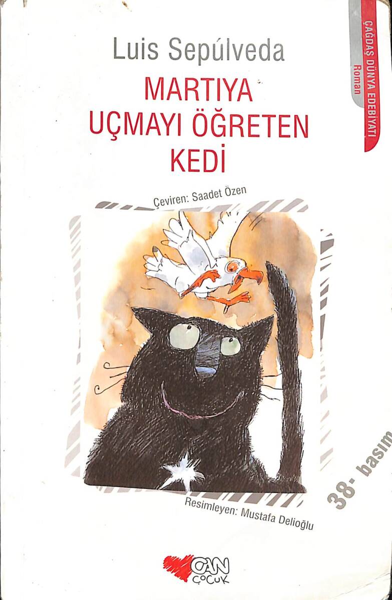 Martıya Uçmayı Öğreten Kedi - 1