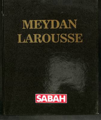 MEYDAN LAROUSSE - BÜYÜK LÜGAT VE ANSİKLOPEDİ 9. CİLT KTP2632 - 1