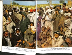 National Geographic February 1955 - From Sea to Sahara in French Morocco,Okinawa,Roaming Indias Naga Hills NDR62574 - 4