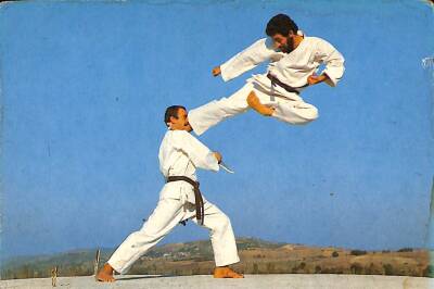 Orhan Doğan Karate Kartpostal KRT10374 - 1