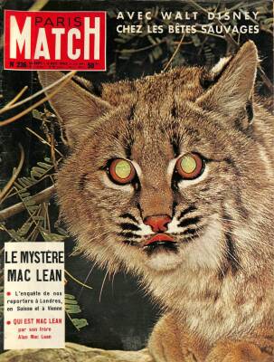 Paris Match 26 SEPT - 3 OCT 1953 NO236 - AVEC WALT DISNEY CHEZ LES BETES SAUVAGES DRG1465 - 1