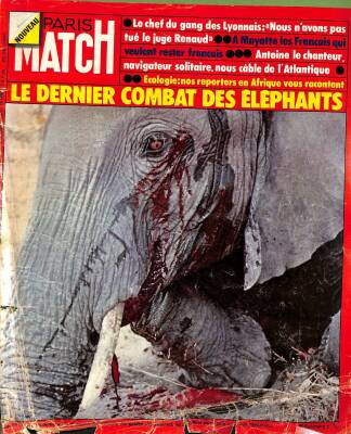 Paris Match No 1364 19 Juillet 1975 - Le Dernier Combat Des Elephants NDR82911 - 1