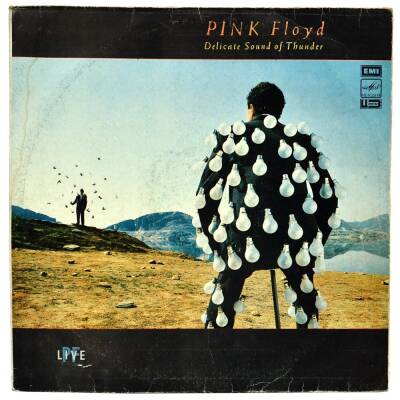 Pink Floyd - Delicate Sound of Thunder *PLAK KABI* PLK10614 - 1