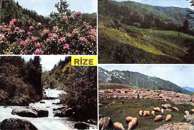 Rize Yaylaları Kartpostal (Küçük Boy) KRT9776 - 1