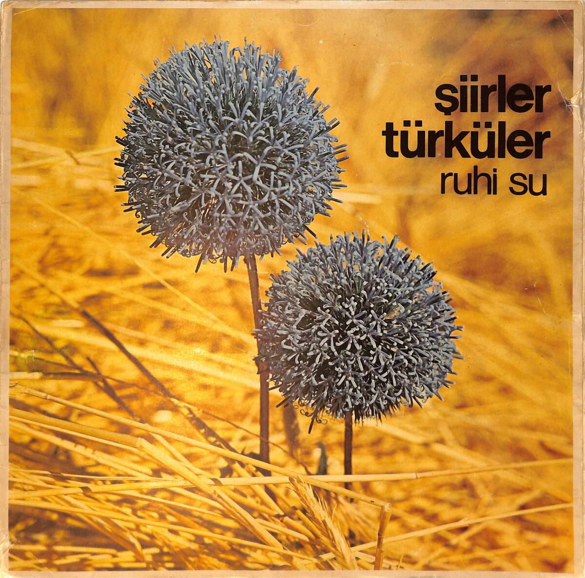 Ruhi Su - Şiirler Türküler LP PLAK (10/8.5) PLK25924 - 1