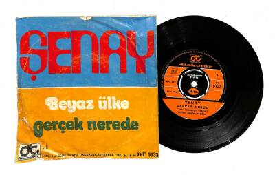 Şenay - Beyaz Ülke Gerçek Nerde PLAK (107) PLK22678 - 2