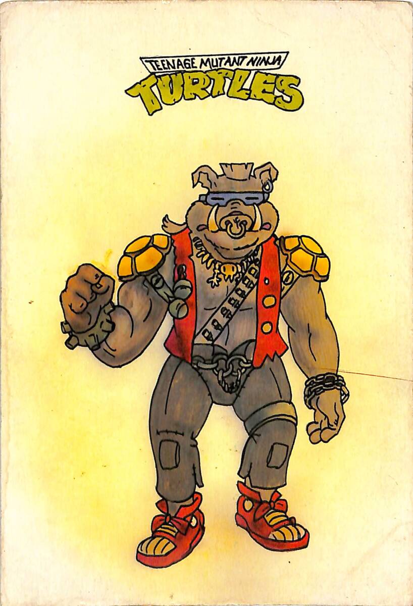 Teenage Mutant Ninja Turtles Kartpostal (Küçük Boy) KRT22363 - 1