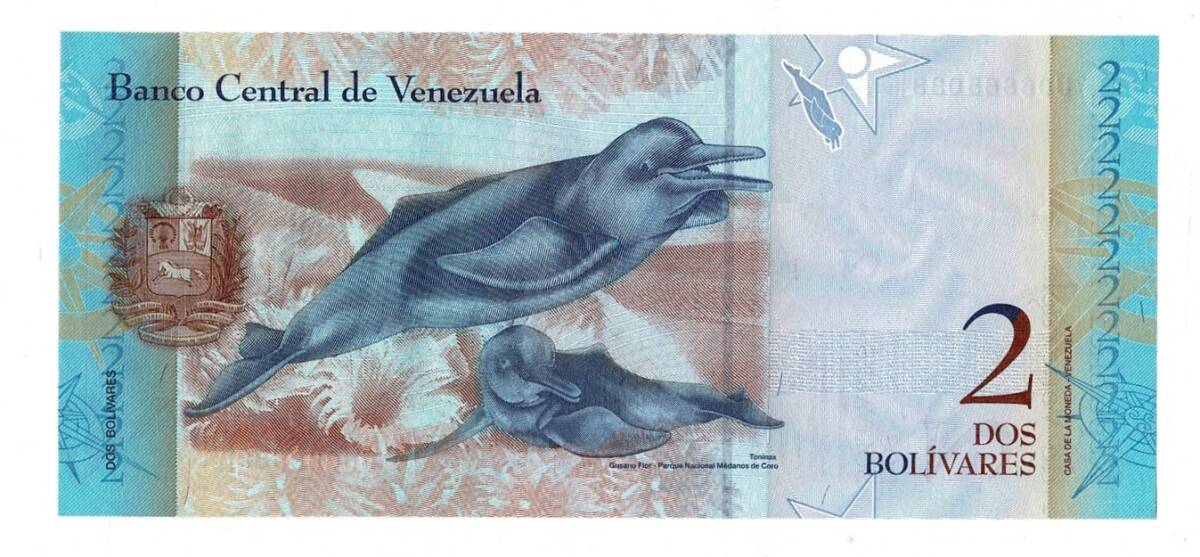 Venezuela 2 Bolivares 2013 Çil YKP7916 - 2