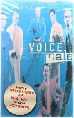 Voice Male - Colors KST3801 - 3