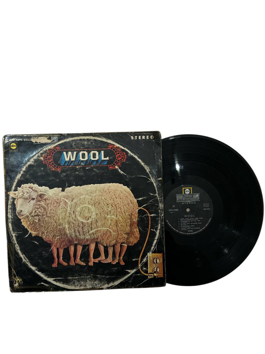 Wool (4) - Wool LP Plak (10/7.5) PLK25464 - 1