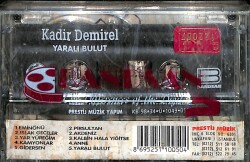 Yaralı Bulut - Kadir Demirel KST22144 - 2