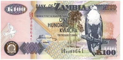 Zambiya 100 Kwacha 2008 Çil YKP1320 - 1