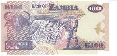 Zambiya 100 Kwacha 2008 Çil YKP1320 - 2