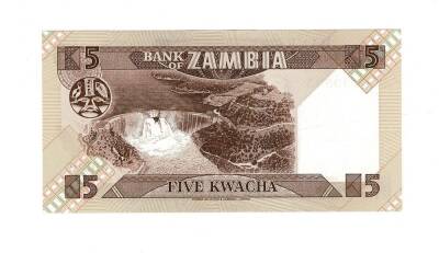 Zambiya 5 Kwacha 1980-1988 Çil YKP1317 - 2